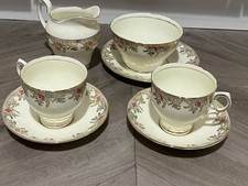 Vintage Salisbury Bone China