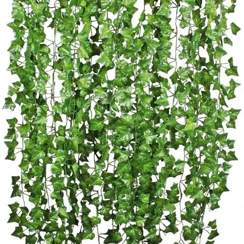 Pack feet fake ivy - feet,
