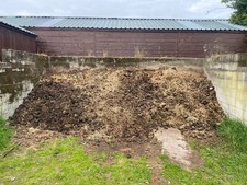 Free Well Rotted Horse Manure WA42TF- Help Yourself, Endless Supply 