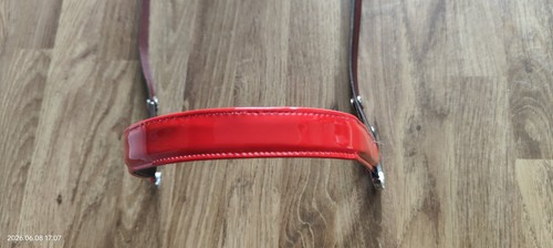 Miniature horse show halter