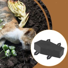 Dog funeral home, pet