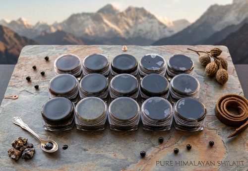 15x himalayan shilajit resin - 15x,