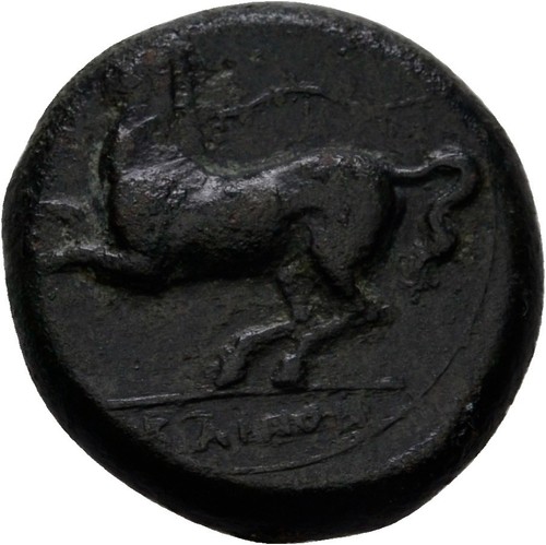 Sicily kainon horse pegasus - horse,