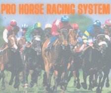 Pro 'HORSE RACING SYSTEM'