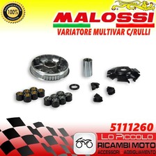 Variator Kit Malossi Multivar