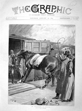 Original Old Antique Print 1894 Race Horse Objecting Train Carriage Transport