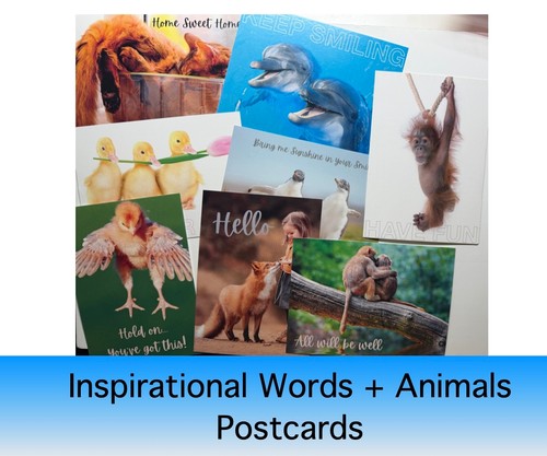 Inspirational happy animal - inspirational,