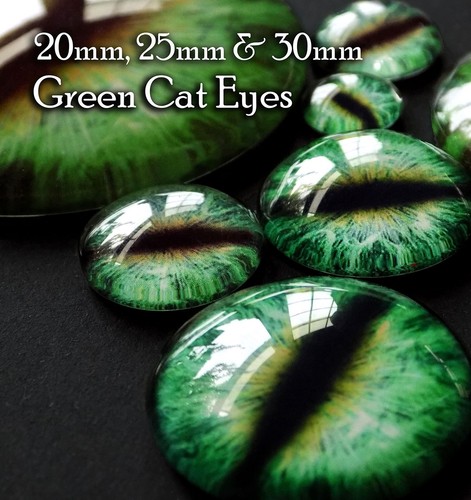 Taxidermy glass dragon - dragon,, cat