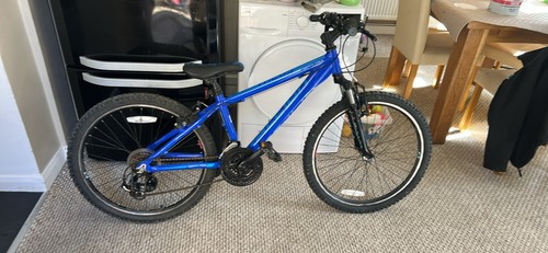 Raleigh inch mountain bike - inch,