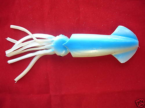 Sea fishing squid - sea, soft