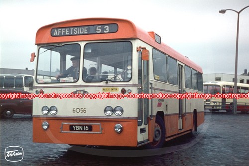 Bus photo selnec 6056 - bus,