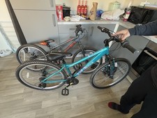 Apollo Entice Women's Mountain