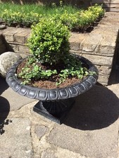 Antique Victorian cast iron Campana urn planter