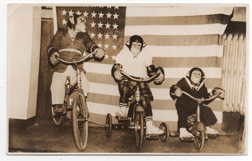 1930s photo three circus - 1930s,