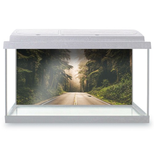 Fish tank background 90x45cm - fish,