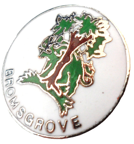 Bromsgrove town small - town, pin