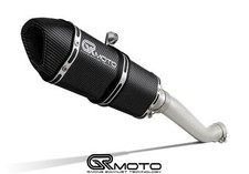 Exhaust for Aprilia RSV 1000 R 2009-2014 GRmoto Carbon