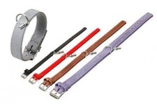 KARLIE BUFFALO LEATHER DOG PUP