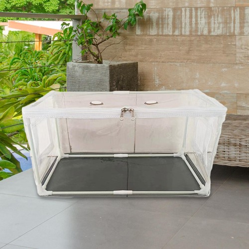 Mushroom growing tent bag box - mushroom,