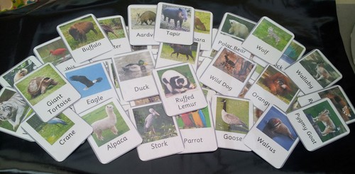 Zoo animals flash - zoo, 72