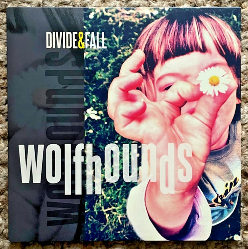 The wolfhounds divide - the, &