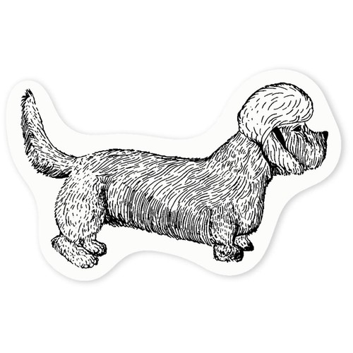 Dandie dinmont terrier clear - 'dandie, terrier'
