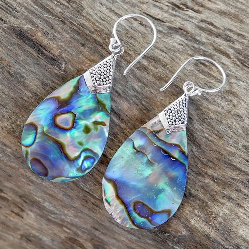 Paua abalone shell - abalone,