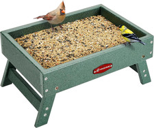 Ground Bird Feeder for