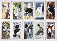BROOKE BOND BIRD PORTRAITS 1957 FULL SET 50 COMPLETE GOOD CLEAN CONDITION
