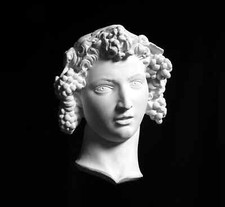 Roman God Bacchus Plaster Cast