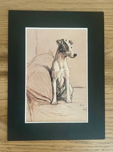Fox terrier dog - fox,