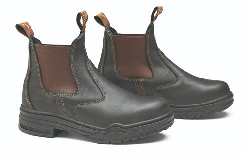 Mountain horse protective - horse,