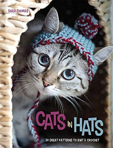 Cats hats 30 - cats, in