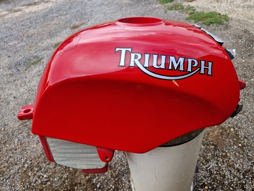 Triumph daytona t595 resin - t595,