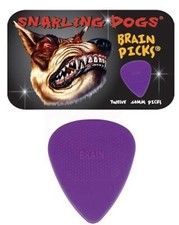 Snarling Dogs Brain Guitar