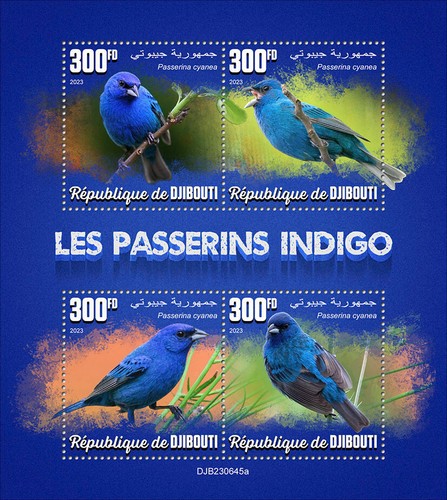 Indigo bunting birds mnh - indigo,