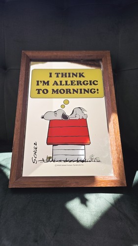 True vintage snoopy peanuts - vintage,
