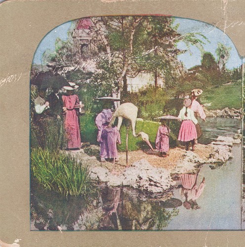 1900s stereoview card japanese - stereoview,