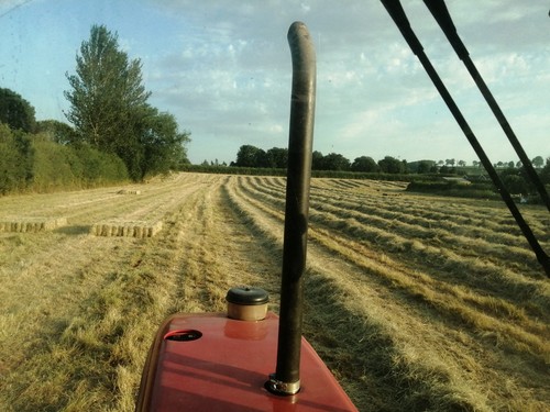 Small conventional hay - small,