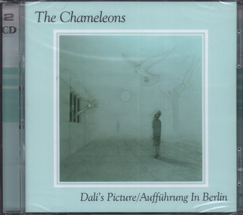 Chameleons dali - chameleons, dali's
