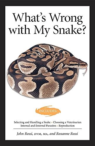 What wrong with snake - my,