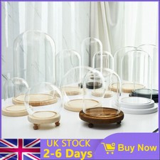 Glass Display Dome Bell Jar Cloche Wooden Base Figure Action Gift Table Decor