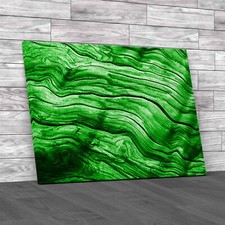 Driftwood Green Canvas Print