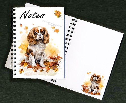 Cavalier king charles spaniel - cavalier,