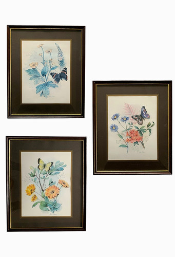 Vintage butterfly wildflower - butterfly,