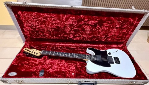 Fender jim root telecaster - fender,