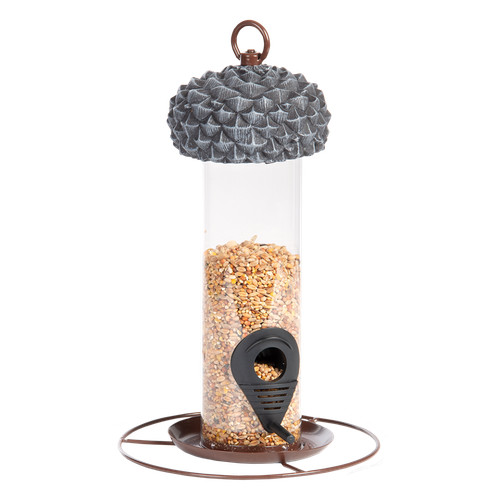 Bird feeder hanging acorn - bird,