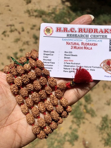 Lab certified mukhi - certified,