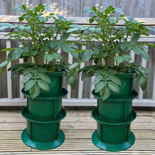 Platform potato growing - platform,