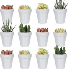 24 pack Youngever  Pots Mini Indoor  Flower Pot  BIG SALE
